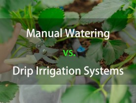 Manual Watering vs. Drip Irrigation Systems