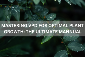 Mastering VPD for Optimal Plant Growth: The Ultimate Manual