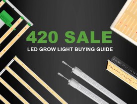420 Sale LED Grow Light Buying Guide