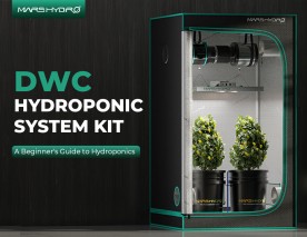 Mars Hydro DWC Hydroponic System Kit: A Beginner's Guide to Hydroponics