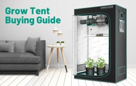 Grow tent buying guide. An indoor grow tent sit inside the room.