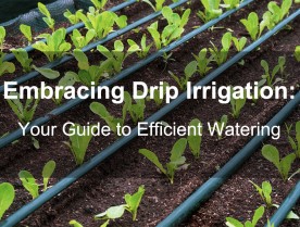 Embracing Drip Irrigation: Your Guide to Efficient Watering