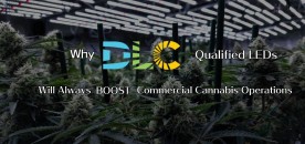 Why DLC QPL LEDs Will Always Boost Your Commercial Cannabis Operation