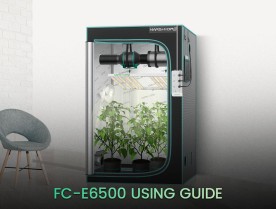 Using Guide Of Mars Hydro FC-E6500 LED Grow Light