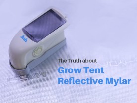Comparing Reflective Mylar: Unveiling the Truth about Grow Tent Quality