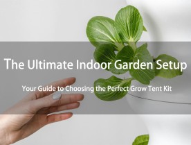 The Ultimate Indoor Garden Setup: Your Guide to Choosing the Perfect Grow Tent Kit