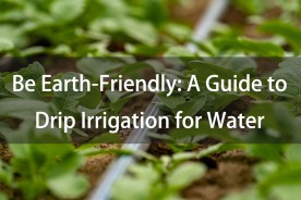 Be Earth-Friendly: A Guide to Drip Irrigation for Water Conservation
