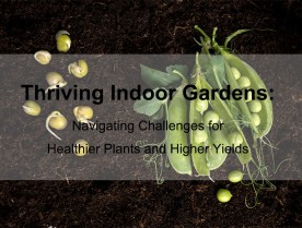 Thriving Indoor Gardens: Navigating Challenges for Healthier Plants and Higher Yields