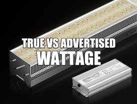 LED Grow Light Wattage: True Watts VS. Advertised Watts