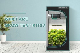 Mars Hydro grow tent kits in the room. What are grow tent kits?