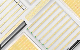 Which LED Grow Light Is Best For Me? Mars Hydro Buying Guide