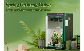 Indoor Grow Tents | Mars Hydro Official Indoor Grow Tents | Mars Hydro Official