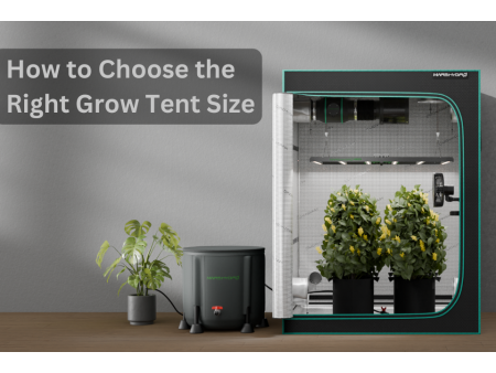 Mars Hydro Official - High-Efficiency LED Grow Lights & Tents Mars Hydro Official - High-Efficiency LED Grow Lights & Tents