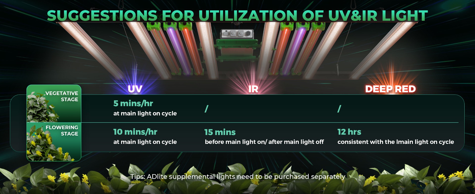 Best Commercial Grow Lights for Indoor Plants | Mars Hydro Best Commercial Grow Lights for Indoor Plants | Mars Hydro