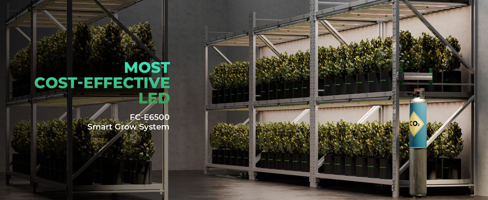 Best Commercial Grow Lights for Indoor Plants | Mars Hydro