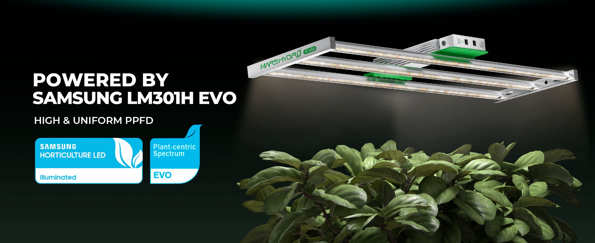 Mars Hydro Smart FC4000 Samsung LM301H EVO LED Grow Light