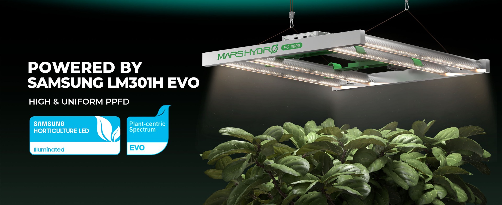 Mars Hydro Smart FC3000 Samsung LM301H EVO LED Grow Light