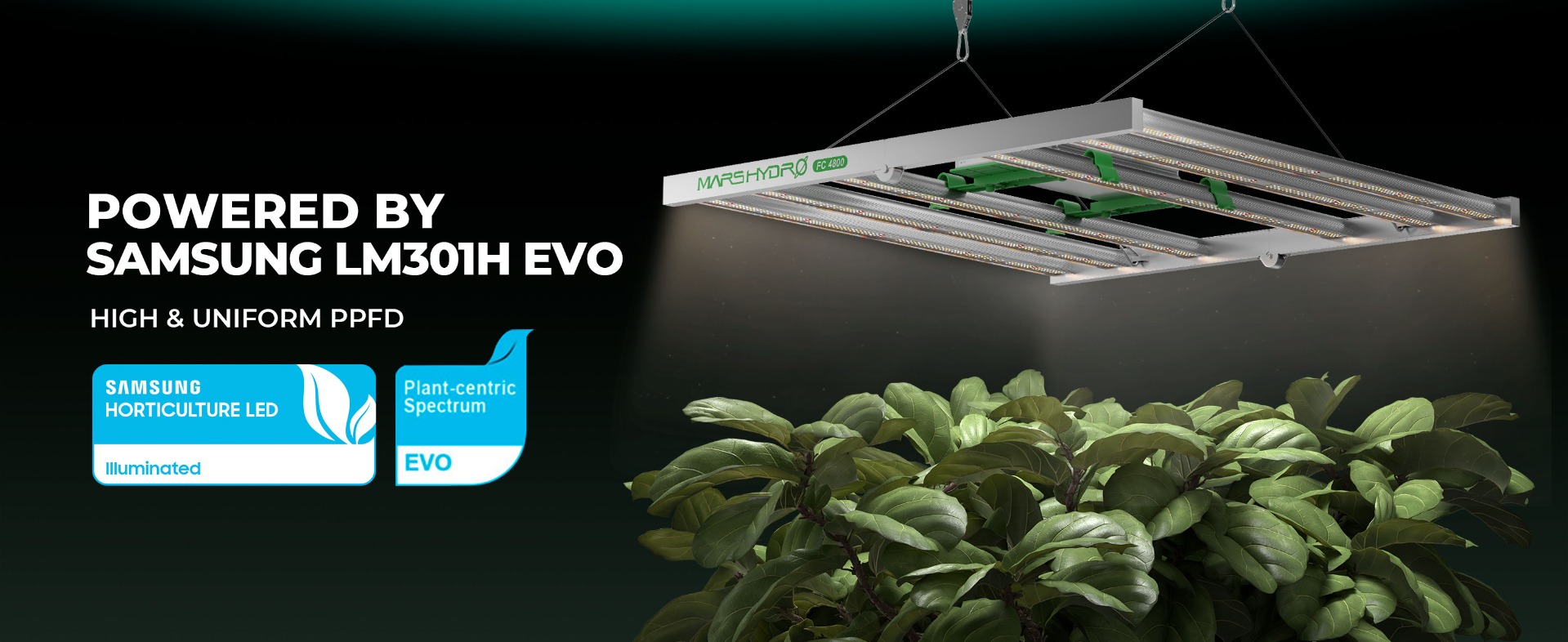 Mars Hydro Smart FC4800-EVO LED Grow Light, more convenient to control on phone