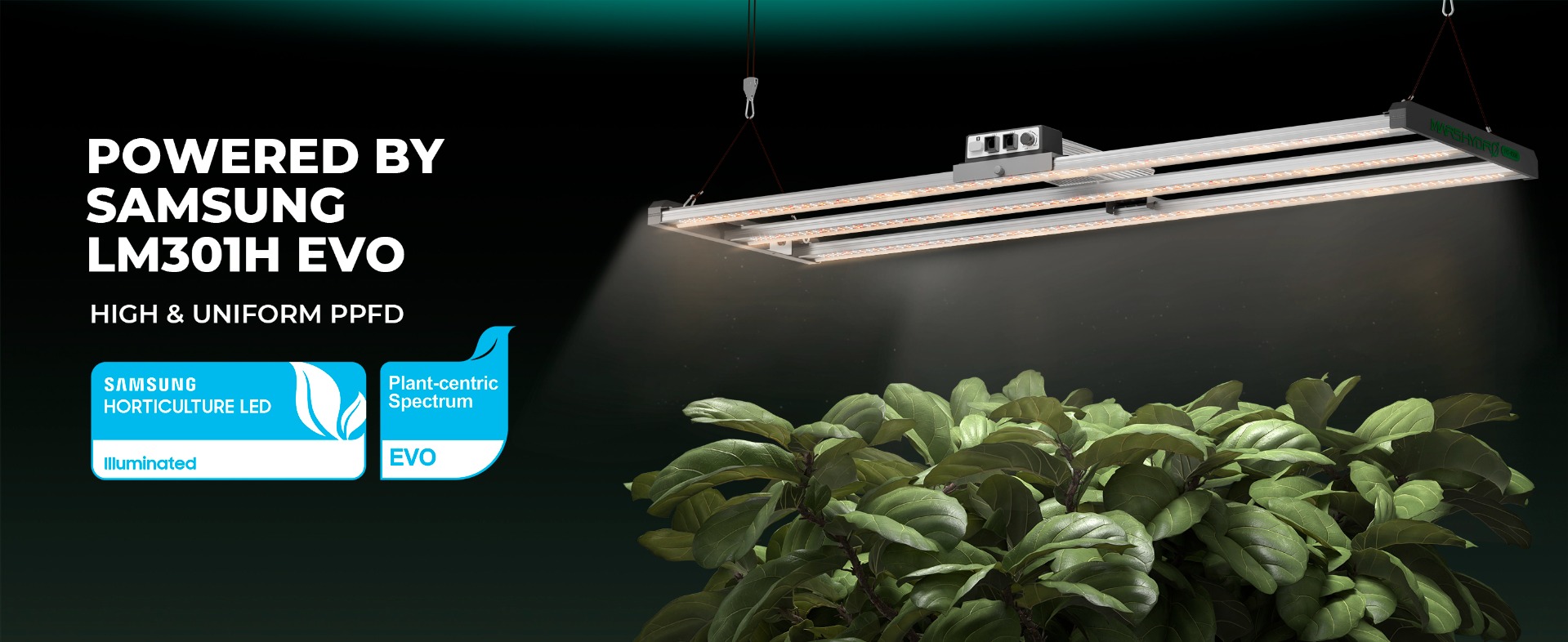 Mars Hydro FC4000 Samsung LM301H EVO LED Grow Light