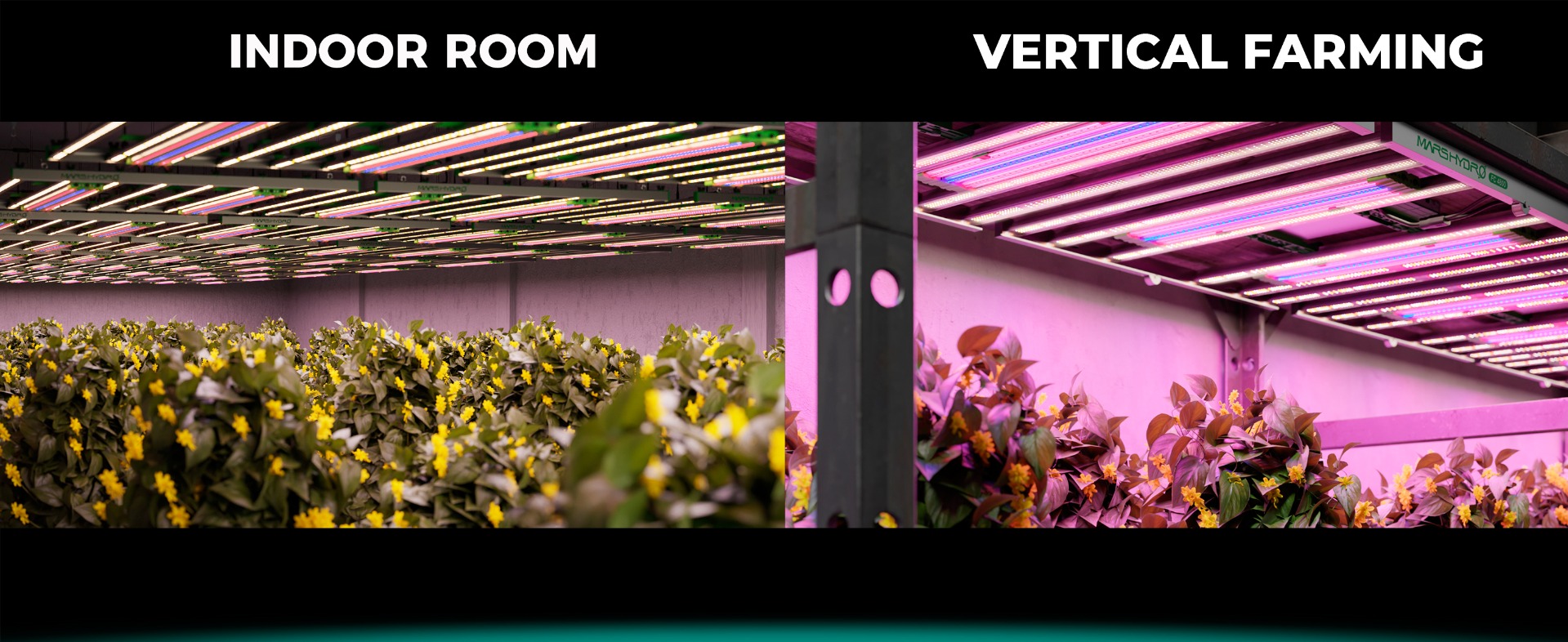 Mars Hydro Smart FC1000W Samsung LED Grow Light-9
