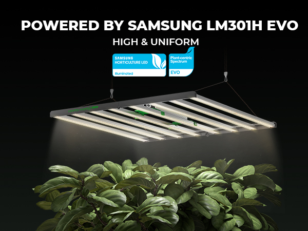 FC1000W EVO LED Gorw Light, precice control of bother light intensity and duration