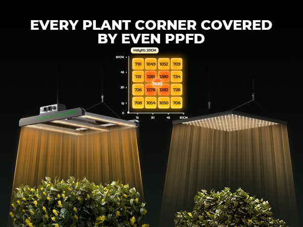 Mars Hydro FC1500 EVO LED Grow Light is with even PPFD, good for corner plants