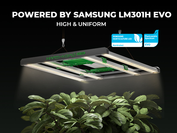 FC3000 EVO Samsung 300W | Mars Hydro | 2025 Best LED Grow Light