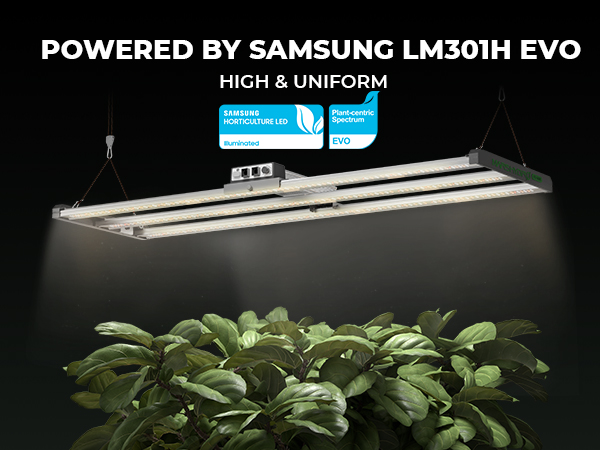 Mars Hydro FC4000 Samsung LM301H EVO 320W Full Spectrum LED Grow Lights