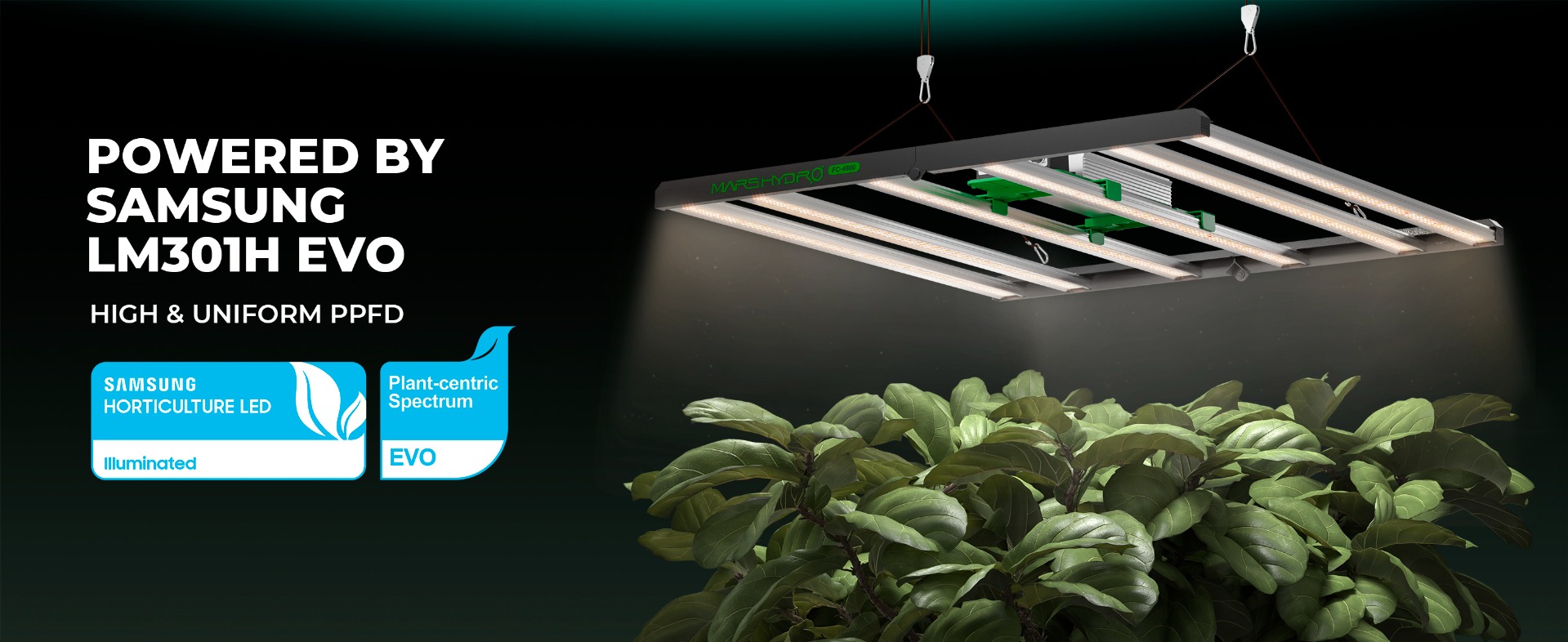 Mars Hydro Smart FC4800-EVO LED Grow Light, more convenient to control on phone