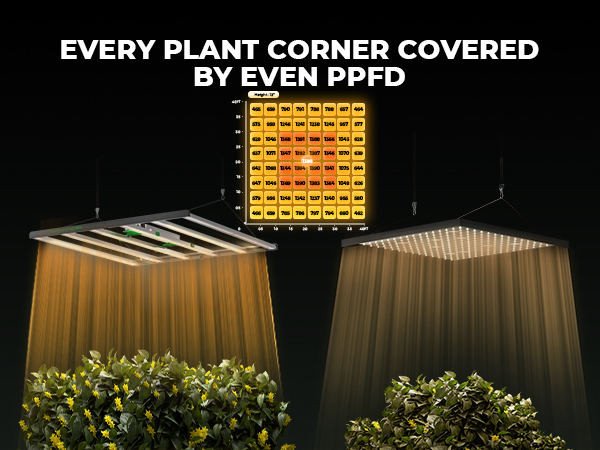 Mars Hydro FC 6500 Samsung EVO 730W | 2025 Best LED Grow Light