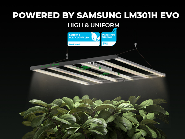 旧型MARS HYDRO FC-6500植物育成グロウライト Mars Hydro FC 6500 Samsung EVO 730W | 2025 Best LED Grow Light
