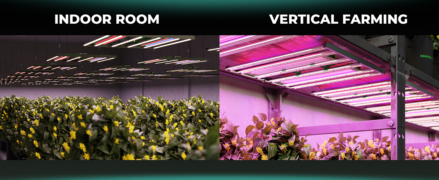 Recommend FC8000 LED grow light for commercial growers