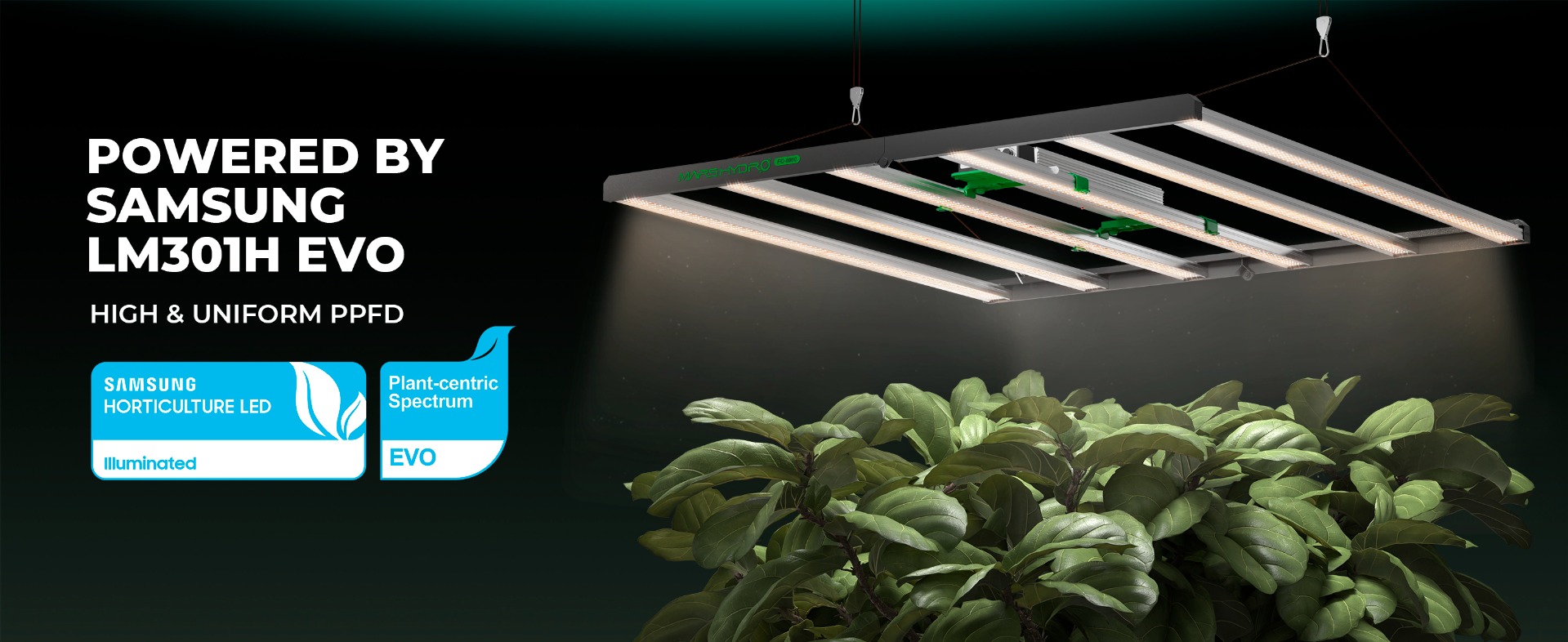2024 New Mars Hydro FC8000 800W LED Grow Light for 5X5 Grow Tent