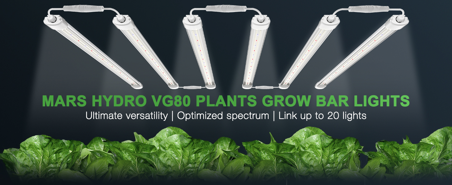 VG80 LED T5 Grow Lights For Seedling, Veg, and Cloning | Mars Hydro