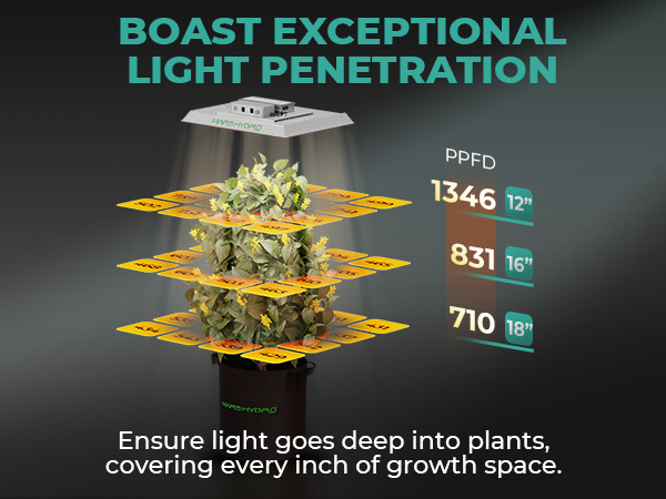 TS 1000 Full Spectrum Classic Beginners LED Grow Lights