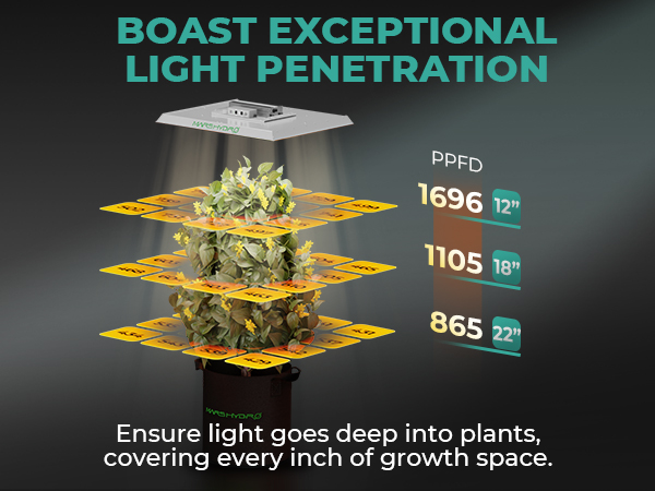 旧型Mars Hydro TS2000 Amazon.com : MARS HYDRO TSW2000 Led Grow Light 300 Watt