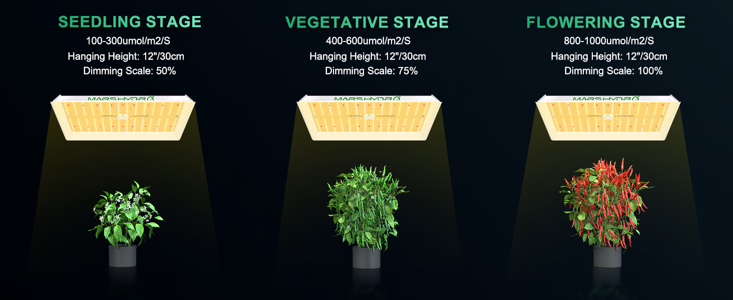 Mars Hydro TS1000 Grow stage