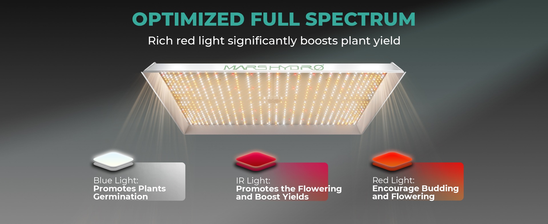Mars Hydro TS3000 Dimming And Daisy Chain Capability Available