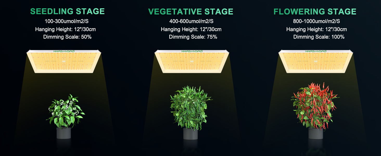 TS3000 grow stage