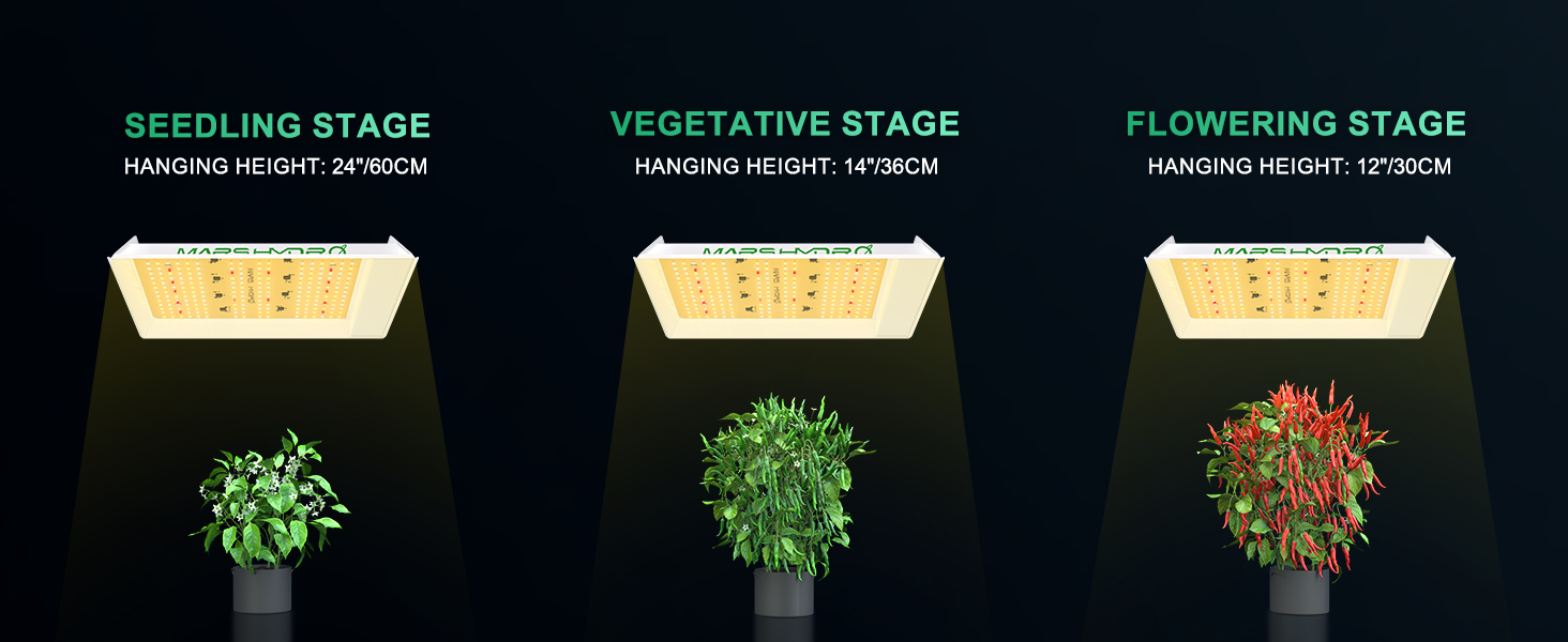 SEEDLING STAGE VEGETATIVE STAGE FLOWERING STAGE