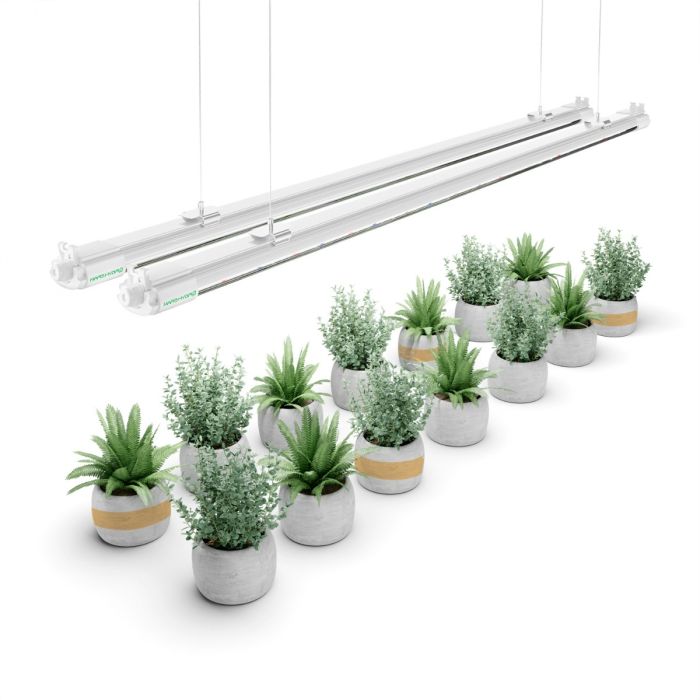 VG80 LED T5 Grow Lights For Seedling, Veg, and Cloning