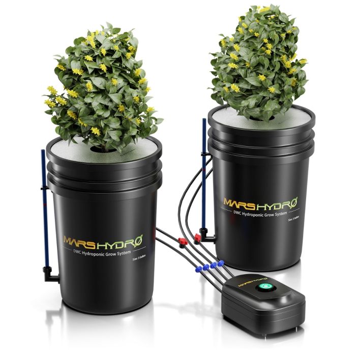 https://www.mars-hydro.com/media/catalog/product/cache/707491cb15beee590eb40fd1503b42bf/d/w/dwc-premium_mars_hydro_5-gallon_dwc_hydroponic_system_kit2.jpg