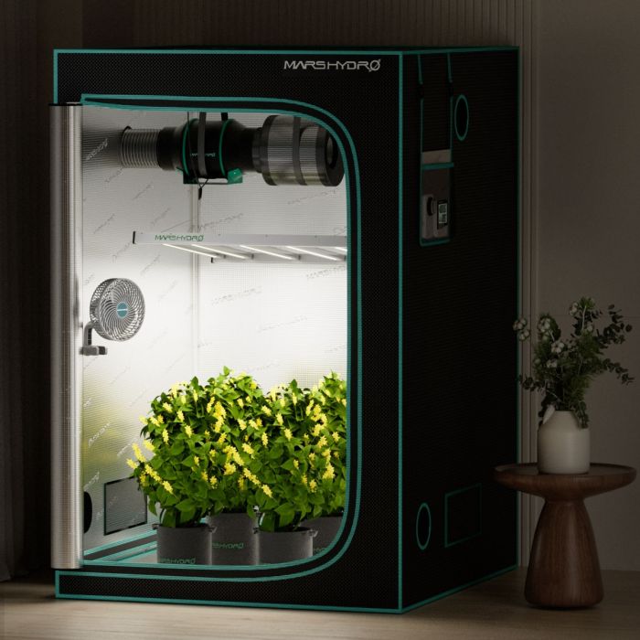 Grow room oscillating fan new arrivals