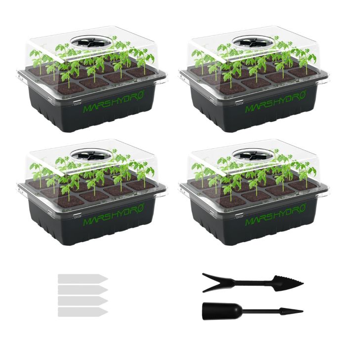 Seedling Trays