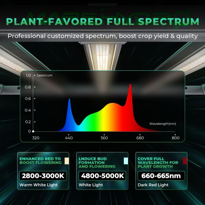Mars Hydro FC E6500 LED Grow Light 5 x5 60 X60 X80 Complete Grow Tent