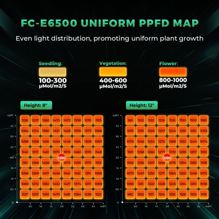 Best Commercial Grow Lights for Indoor Plants | Mars Hydro Best Commercial Grow Lights for Indoor Plants | Mars Hydro