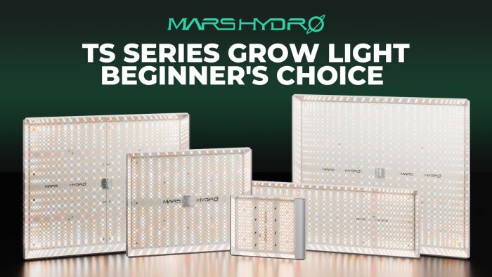 Mars Hydro TSW 2000 Full Spectrum 300W Dimming LED Grow Light