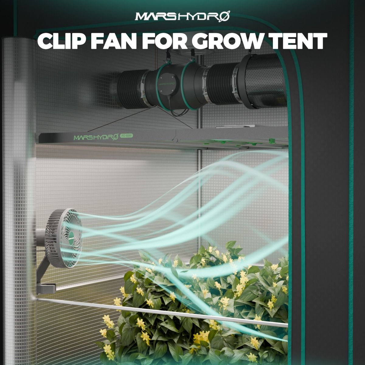 【420 Flash Sale!Save $80】Mars Hydro TSW 2000 LED Grow Light + 4'X4'(48"x48"x80") Indoor Complete Grow Tent Kits