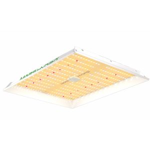 Mars Hydro TSW 2000 Full Spectrum 300W Dimming LED Grow Light