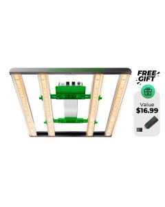Best Grow Lights for Indoor Plants | Mars Hydro FC-E3000